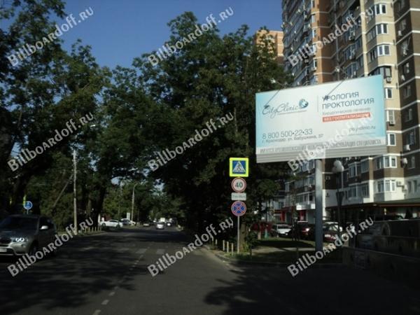 Яна Полуяна № 50