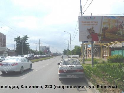 Калинина, 223/